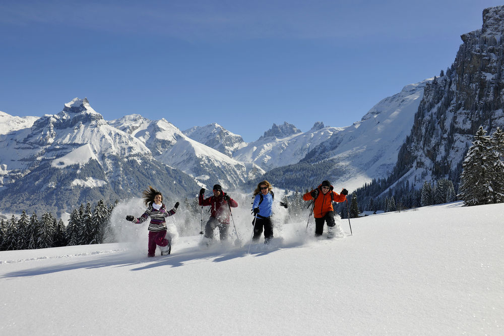 Hotel Terrace Engelberg Eksteriør billede